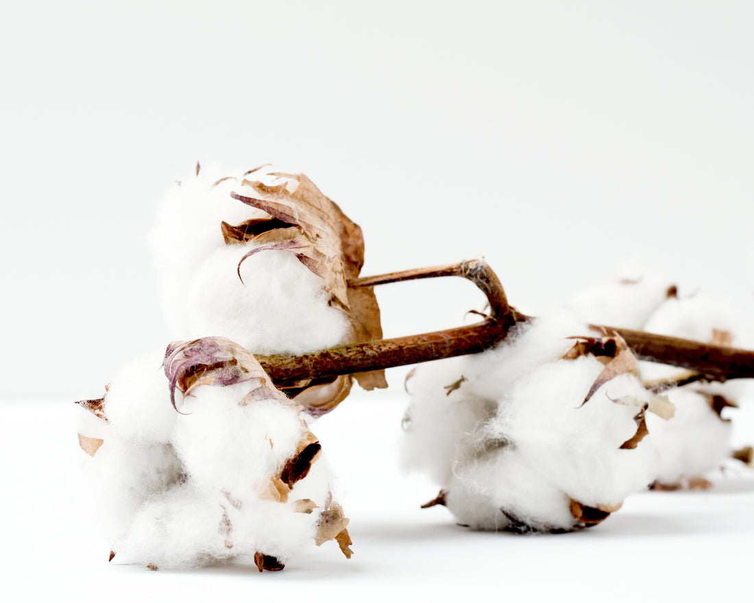 Why Organic Cotton is Not Enough for Sustainability: You Also Need Eco-Friendly Dyeing Methods